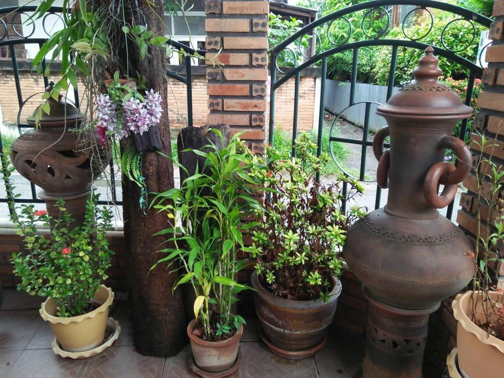 Villa Oranje Chiang Mai Ngoại thất bức ảnh
